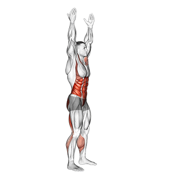 Arms Apart Circular Toe Touch