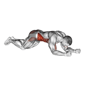 Kneeling Plank Tap Shoulder