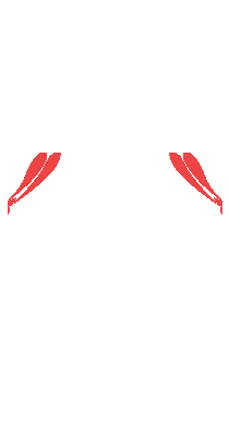 Forearms